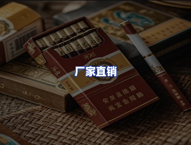 专业团队